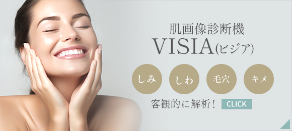 肌画像診断器VISIA(ビジア)