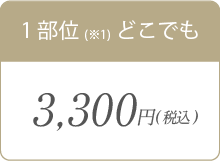 1部位どこでも