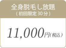 全身脱毛し放題
