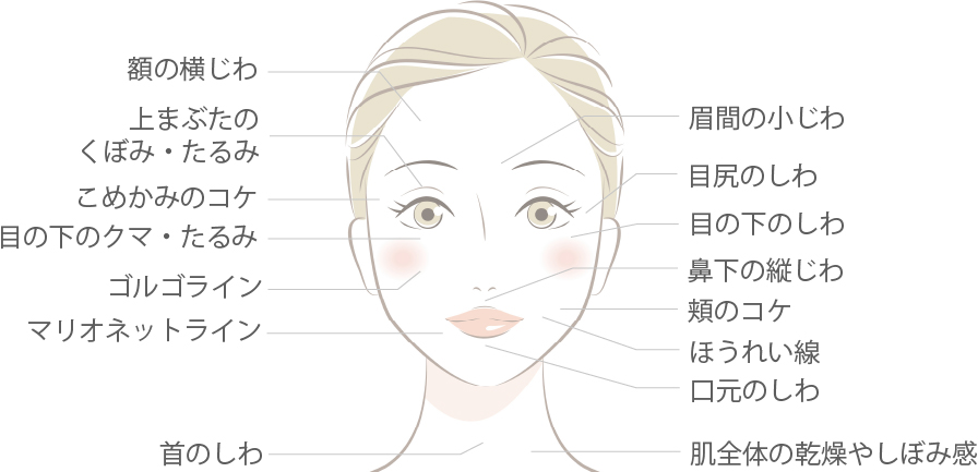 美肌、エイジングケアとして