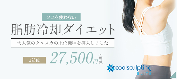 クールスカルプティング・エリート